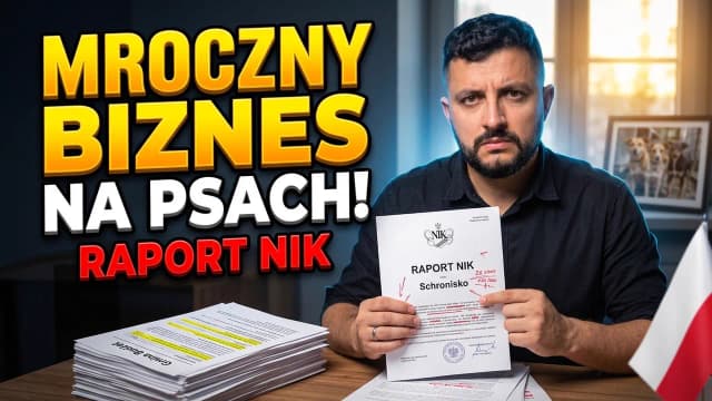 MROCZNY BIZNES NA PSACH? DODA I SCHRONISKO W SOBOLEWIE RAPORT | Maciej Wapniak Wapiński Prezentuje